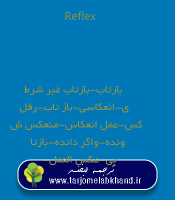 Reflex به فارسی